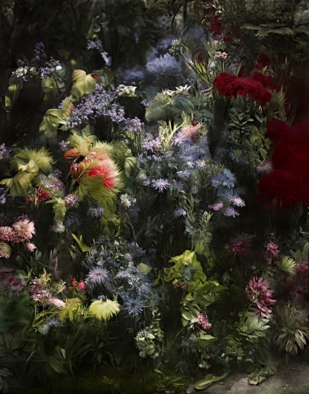 Matière et Mémoire - Jardins, Gardens, image generated by artificial intelligence, Fabien Ducrot